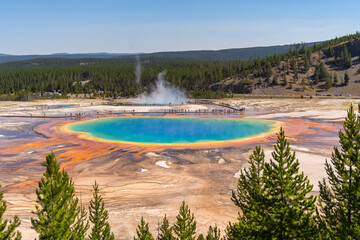 Sticker - Grand Prismatic Spring in Yellowstone National Park. 