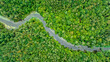 Natural river in the forest - aerial view