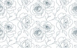 Abstract seamless pattern with roses. Beautiful blossoming hand drawn flower on white background. Line art wallpaper. Vector stock illustration