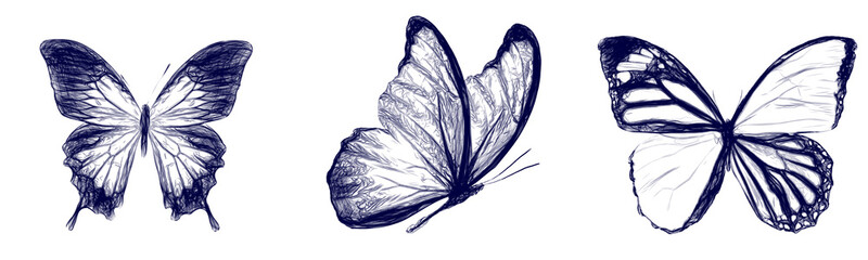 Poster - Set of butterflies drawn with a blue pen isolated on a white