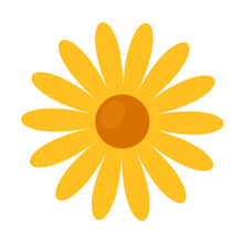 Yellow Daisy Flowers Flat Vector Illustration Clipart Isolated On White Background