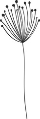 Poster - Dill fennel cereal plant umbrella flower twig icon