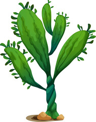 Poster - Agave neglecta wild century plant succulent cactus