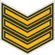 SGT sergeant enlisted military rank stripe isolate