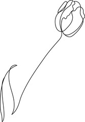 Wall Mural - Tulip flower continuous line drawing. One line art. Vector illustration.