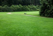 Beautiful Freshly Cut Green Lawn In Park