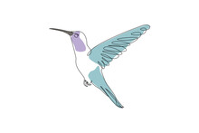 Line Art Bird Flying Illustration, Kingfisher Line Art Design