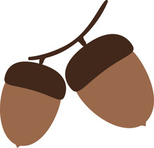 Vector Illustration Of Two Acorns On Branch