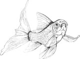 Fototapeta  - Ręcznie rysowana punktami złota rybka