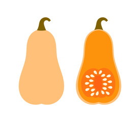 Wall Mural - Butternut squash with seeds.