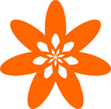 Orange Flower 
