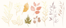 Collection Of Botanical Elements In Watercolor. Set Of Autumn Wild Flowers, Maple, Branches, Leaves, Eucalyptus, Leaf. Hand Drawn Of Luxury Fall Foliage Vectors For Card, Print, Graphic, Decorative.