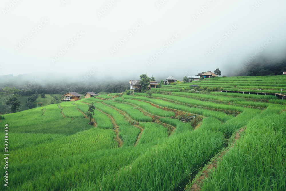 Green rice terraces and huts in the rainy season Stock Photo | Adobe Stock
