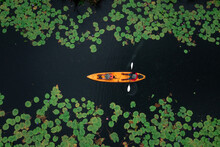 Aerial Top View Of Man Paddling Kayaking In The Lotus Lake At Rayong Botanical Garden In Thailand For Tourist Services.