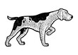 hunting dog hound sketch PNG illustration with transparent background