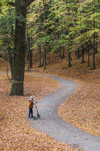 Boy With A Scooter On A Winding Road Among Autumn Leaves.