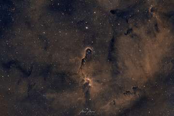 Wall Mural - Elephant's trunk nebula IC 1396