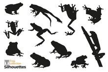 Group Of Isolated Frog Silhouettes Jumping, Climbing A Plant. Small Animal Icons For Your Designs.