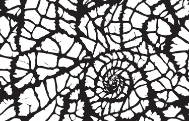 Poster - Black And White Pattern Abstract Texture. Abstract  Background Design. Vector illustration.
