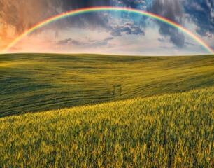  Scenic view of rainbow over green field. dramatic gray sky over a picturesque hilly field

