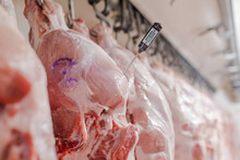 Close-up Of Meat Processing In The Food Industry, A Worker Measures The Temperature Of Meat, The Concept Of Meat Products