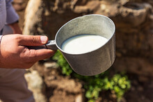 Rabot, Gorno-Badakhshan Autonomous Province, Tajikistan. Milk To Be Churned Into Butter In Rural Tajikistan.