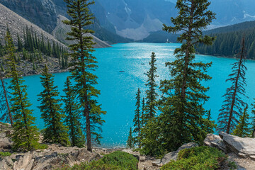 Wall Mural - Moraine Lake with pine trees in  people doing kayak in summer, Banff national park, Alberta, Canada.