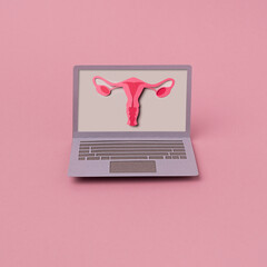 Laptop with a uterus 