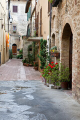  Italy, Tuscany, Pienza. Flower pots and potted plants decorate a narrow street in a Tuscany village.