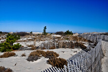 A Winter Day At Cape Henlopen State Park, Delaware USA, Lewes, Delaware