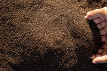 Soil Or Vermicompost For Agriculture.
