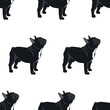 Vector seamless pattern: cute black french bulldogs on white. Design with animals, pets for textil, wrapping paper, wallpaper.