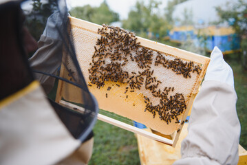 Wall Mural - Beekeeping, beekeeper at work, bees in flight.