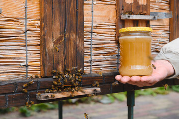 Wall Mural - jar of fresh honey in a glass jar. Beekeeping concept. Top view. Copy space.