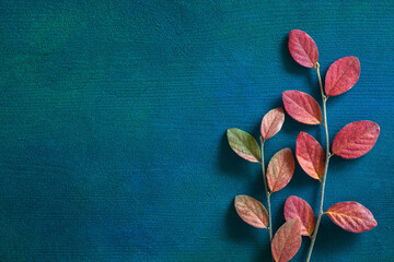 Wall Mural - Two branches with colorful autumn leaves on dark blue-green painted wooden background  with empty space for text or image. Flat lay.