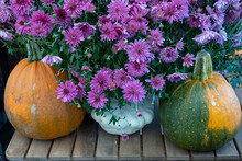 Two Field Pumpkins With Beautiful Autumn Flowers On A Wooden Table.
