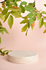 Canvas Print - Podium made of stone with rosehip leaves for product presentation. Minimalistic scene of a fallen tree with a multicolored branch