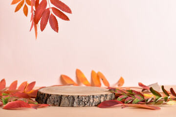 Canvas Print - Autumn podium made of natural wood and autumn foliage.