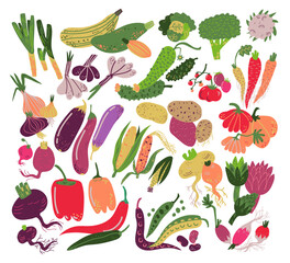 Sticker - Raw Vegetables as Organic Garden Plant for Cooking Big Vector Set