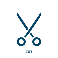 Poster - cut icon from geometry collection. filled cut, food, hat glyph icons isolated on white background. b
