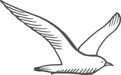 Sticker - Seagull sketch. Hand drawn sea bird flying