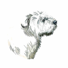 Glen Of Imaal Terrier Dog Breed Watercolor Sketch Hand Drawn Painting Silhouette Sticker Illustration Sublimation EPS Vector Graphic
