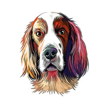 Irish Red And White Setter Dog Breed Watercolor Sketch Hand Drawn Painting Silhouette Sticker Illustration Sublimation EPS Vector Graphic