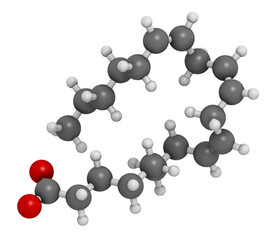 Poster - Dihomo-γ-linolenic acid (DGLA) fatty acid molecule. Omega 6-fatty acid that is produced in the body from gamma-linolenic acid, 3D rendering.