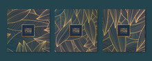 Vector Set Of Gold Line Leaf Cards, Square Luxury Design Patterns, Borders, Frames. Use For Package, Social Net Post, Invitations, Banners, Flyers, Labels.