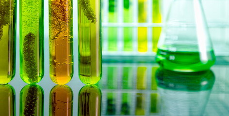 Poster - Algae biofuel has a low carbon footprint.