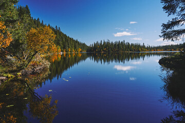 Wall Mural - Image from a trip to the Svartdalstjerna Lakes, a forest nature reserve of the Totenaasen Hills, Oppland, Norway, at autumn of the year 2022.