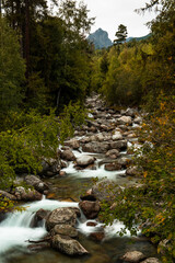 Sticker - mountain river with rocks. Beautiful nature and landscape
