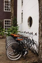 Bikes Rack Placed On Backyard In Netherlands