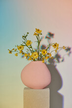 Summer Bouquet Of Wild Flowers In A Vase